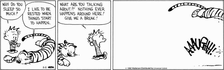 calvinandhobbes